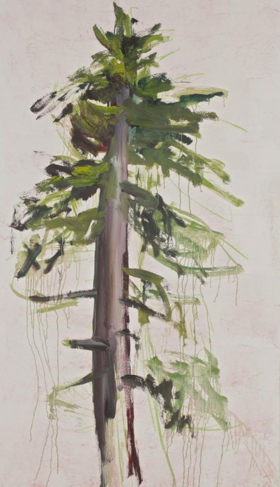 Tanne weiß, Jahr, Material, Groeße