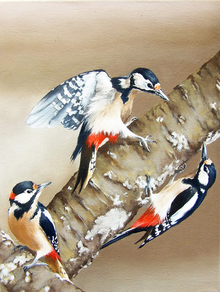 Buntspechte, 2024, 40 x 30 cm