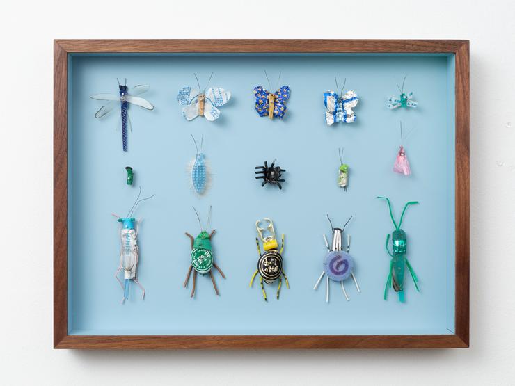 Matthias Garff, „Insektenkasten (Taiwan V)“, 2024