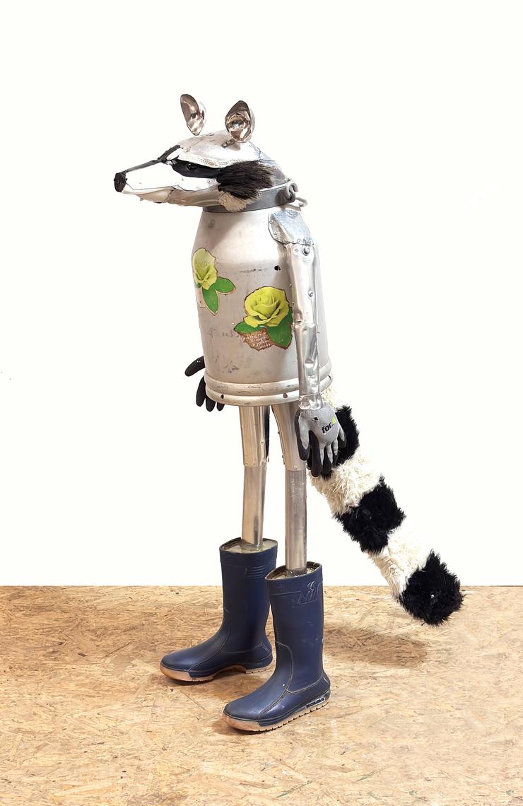 Matthias Garff, „Waschbär“, 2025