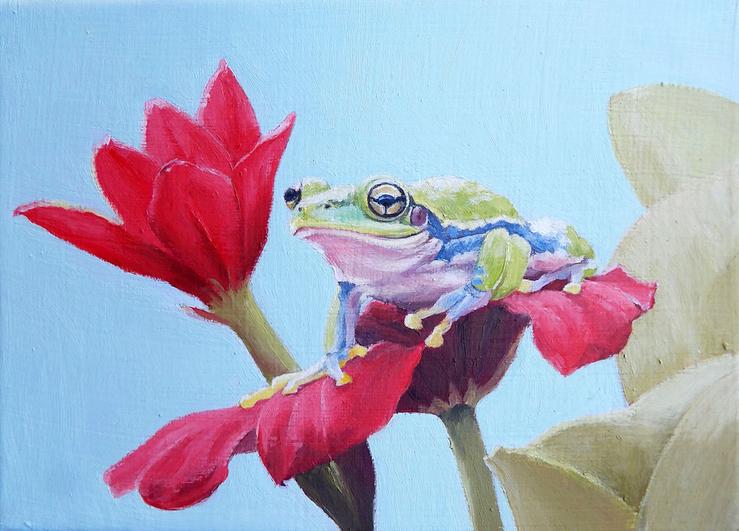 Persis Eisenbeis, „Frosch auf Amaryllis“, 2025