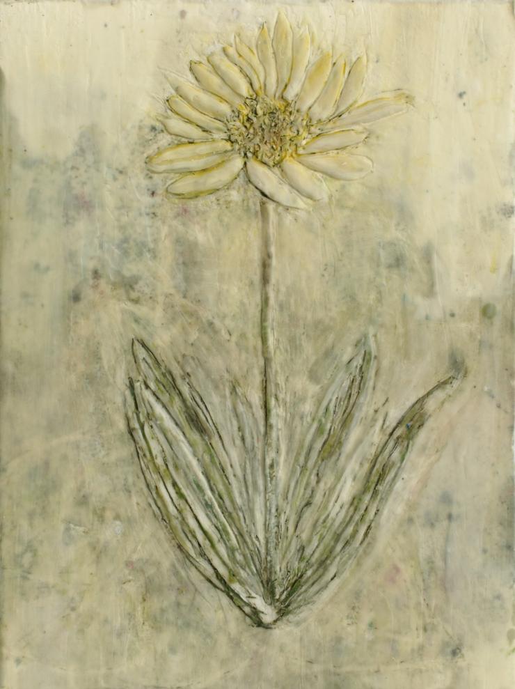 Heike Jeschonnek, „Margerite“, 2024
