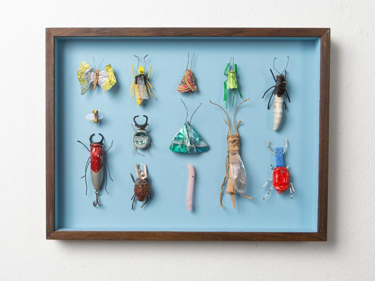 Matthias Garff, „Insektenkasten (Korfu IV)“, 2020
