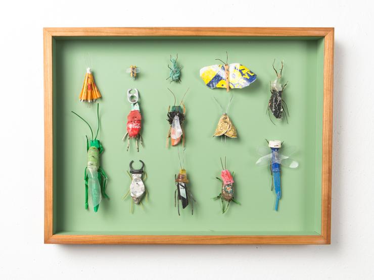 Matthias Garff, „Insektenkasten (Korfu VII)“, 2020
