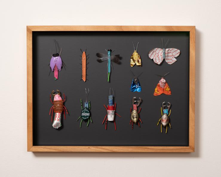 Matthias Garff, „Insektenkasten (Mexiko XV)“, 2023