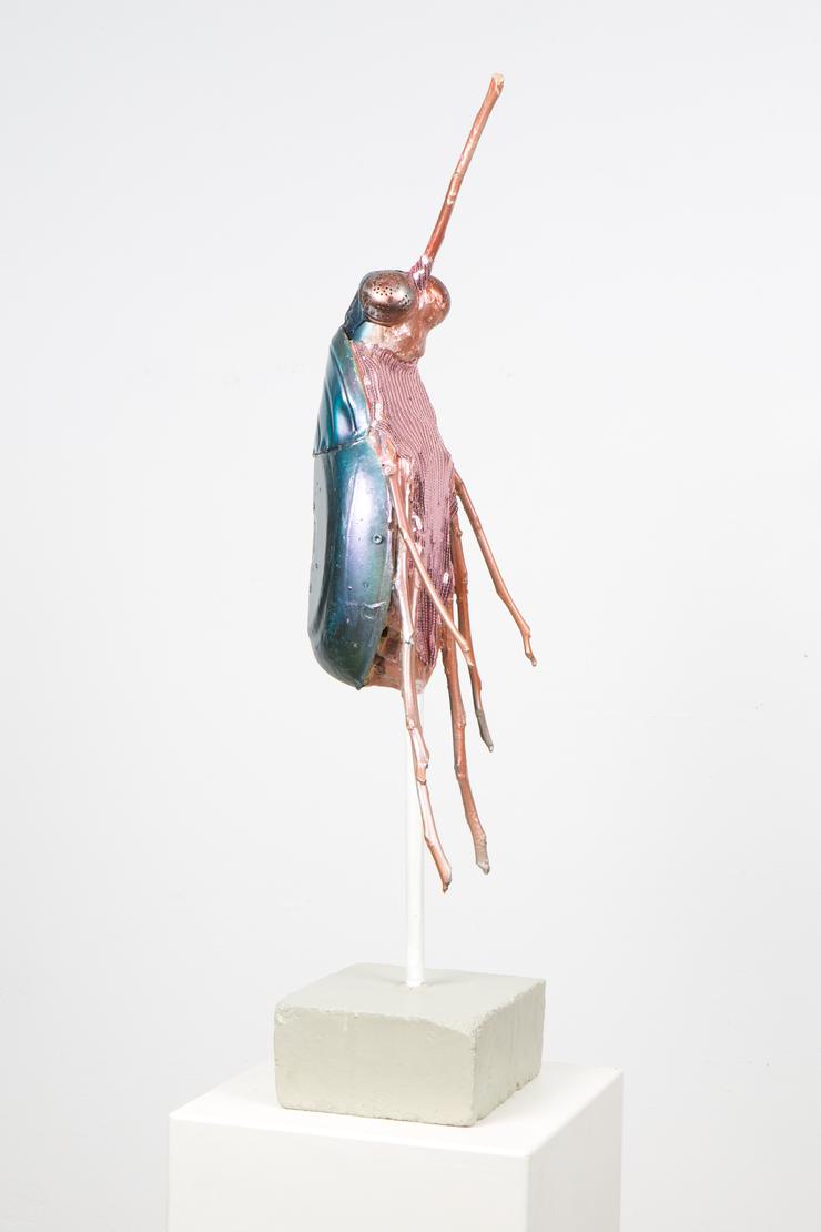 Matthias Garff, „Rüsselkäfer“, 2020