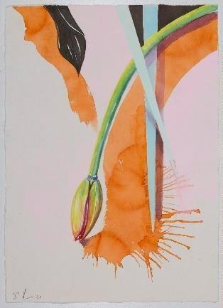 Stephanie Pech, „Study of a Figure 8 – Tulipan“, 2021