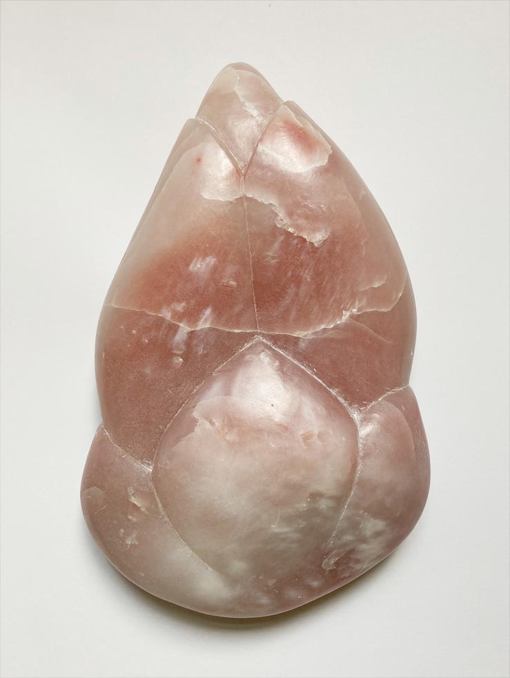 Ellen Maeder-Gutz, „Aus bella donna“, 2009