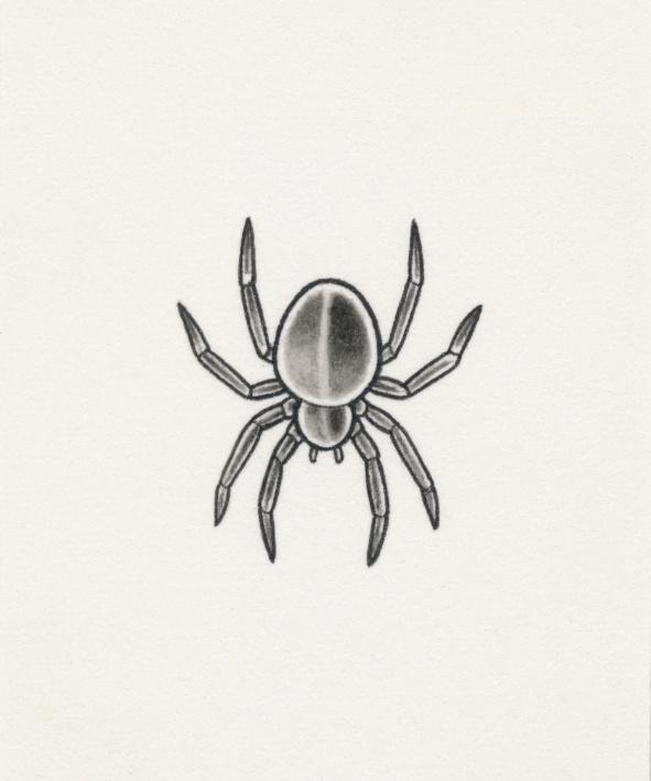 Barbara Lüdde, „Rechte Kniekehle (Spinne)“, 2022