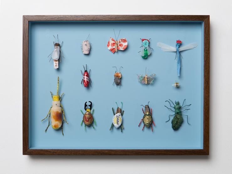 Matthias Garff, „Insektenkasten (Italien I)“, 2022