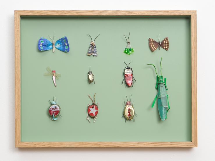 Matthias Garff, „Insektenkasten (Januar VII)“, 2020