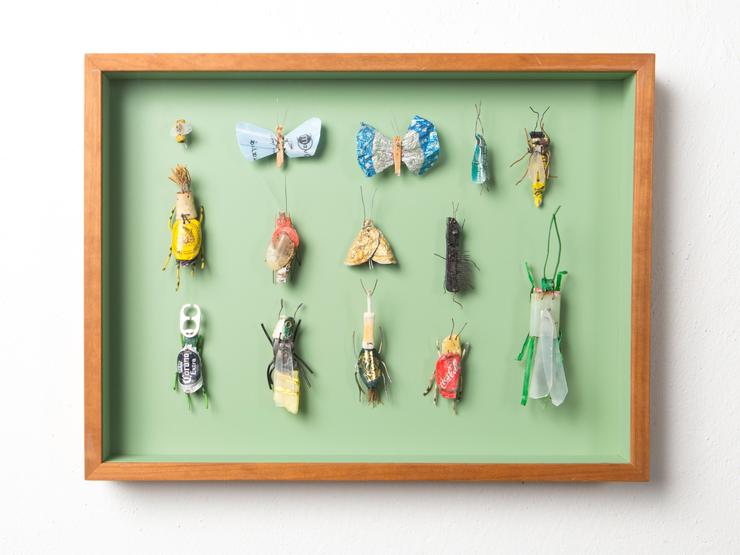 Matthias Garff, „Insektenkasten (Korfu II)“, 2020