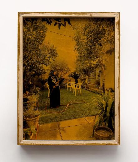 untitled (Cousine), BB1932, Unikat, 2023, Fotografie, Plexiglas, 26 x 20 x 16 cm