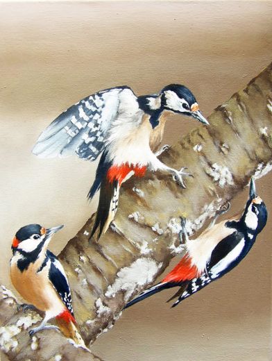 Buntspechte, 2024, 40 x 30 cm